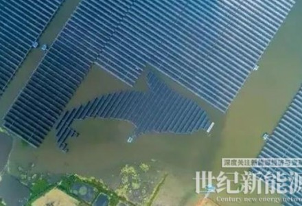 泗洪1000MW光伏领跑者项目被勒令拆除整改！